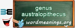 WordMeaning blackboard for genus australopithecus